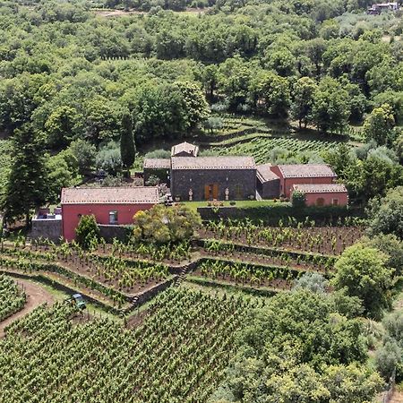 Terrazze Dell'Etna - Country Rooms And Apartments 兰达佐 外观 照片