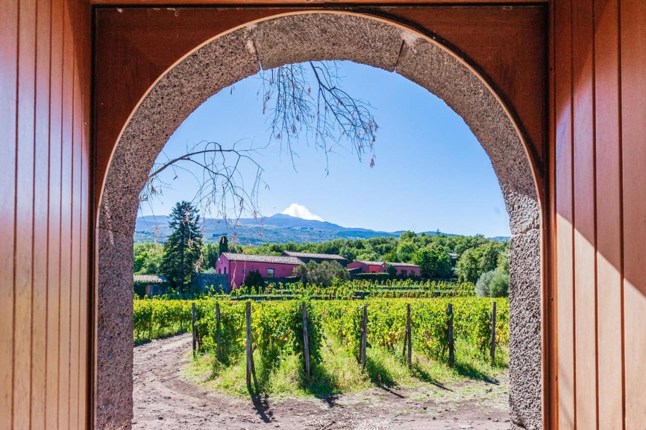 Terrazze Dell'Etna - Country Rooms And Apartments 兰达佐 外观 照片