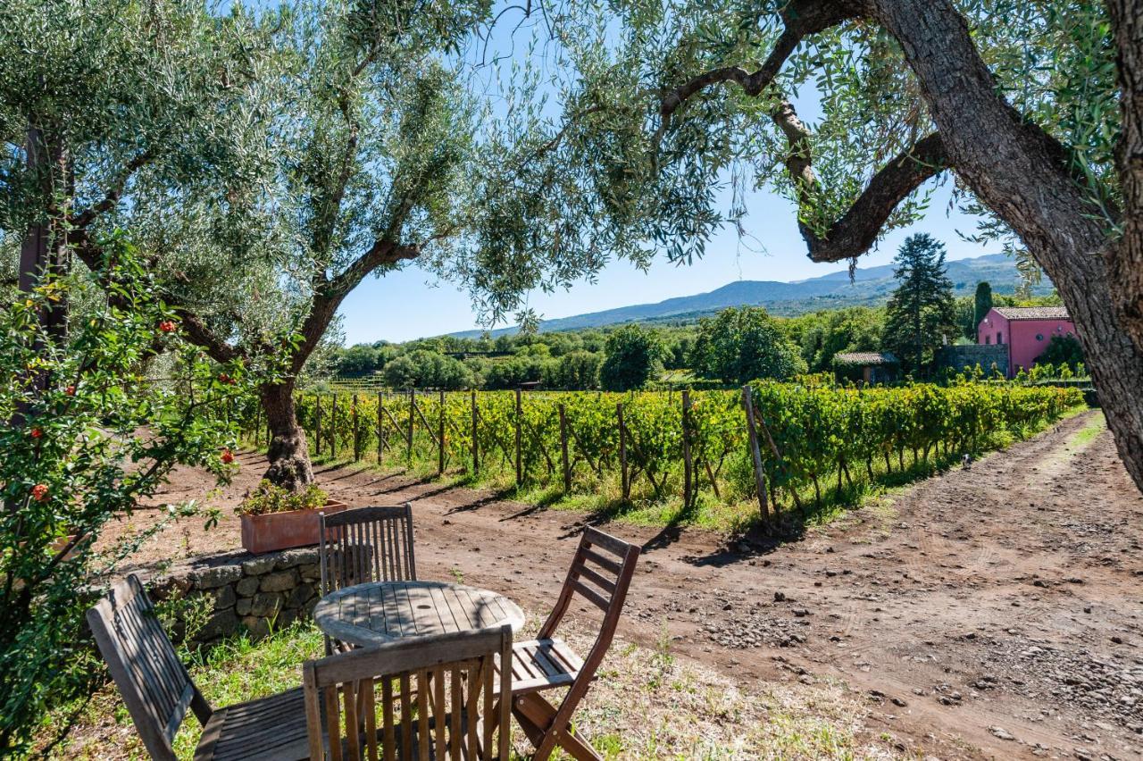 Terrazze Dell'Etna - Country Rooms And Apartments 兰达佐 外观 照片
