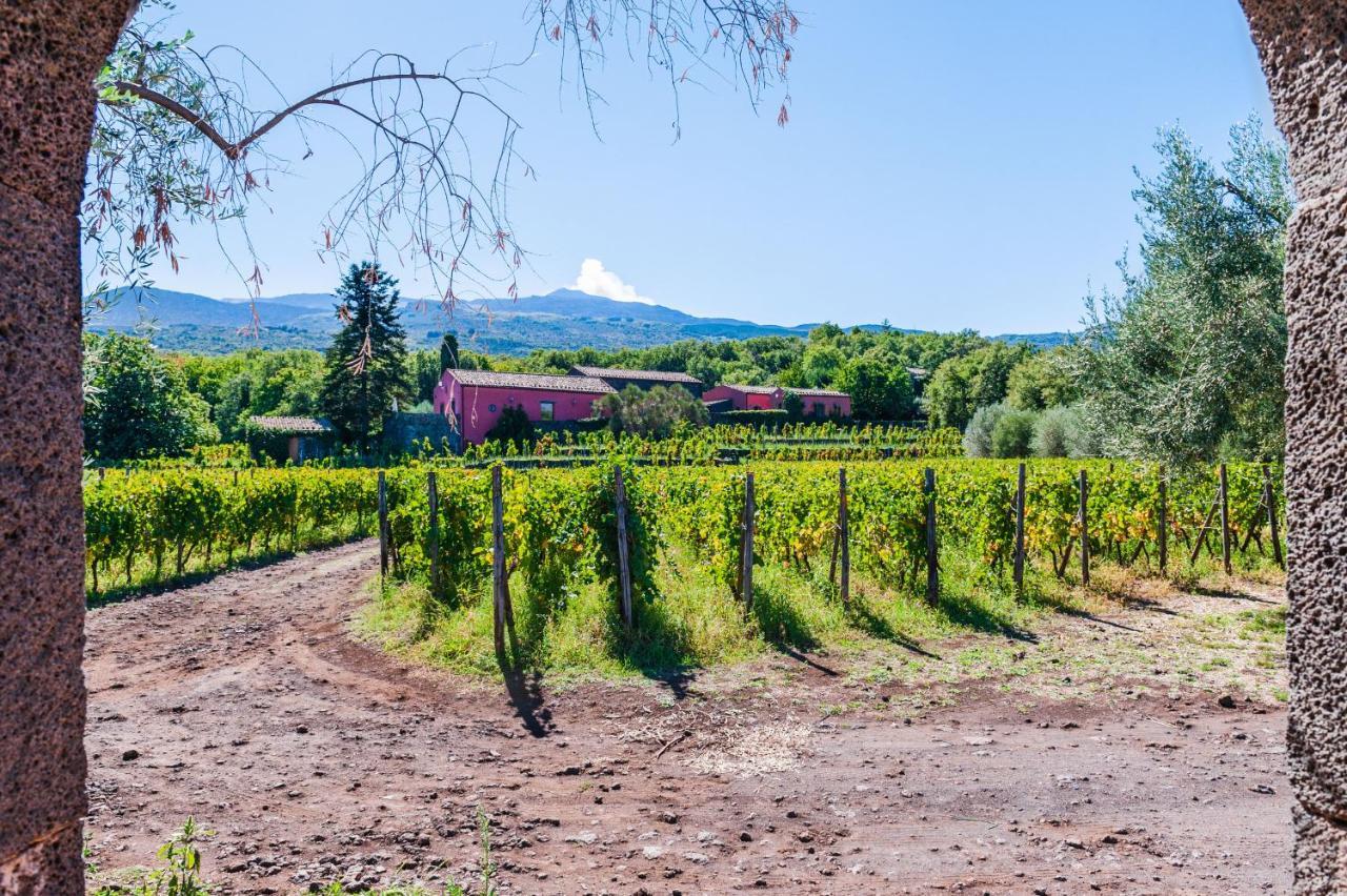 Terrazze Dell'Etna - Country Rooms And Apartments 兰达佐 外观 照片