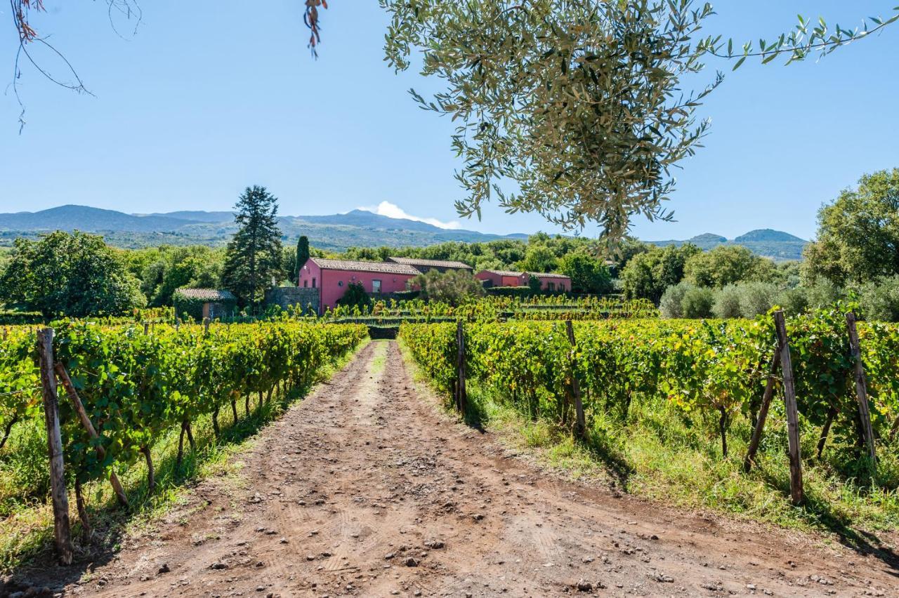 Terrazze Dell'Etna - Country Rooms And Apartments 兰达佐 外观 照片