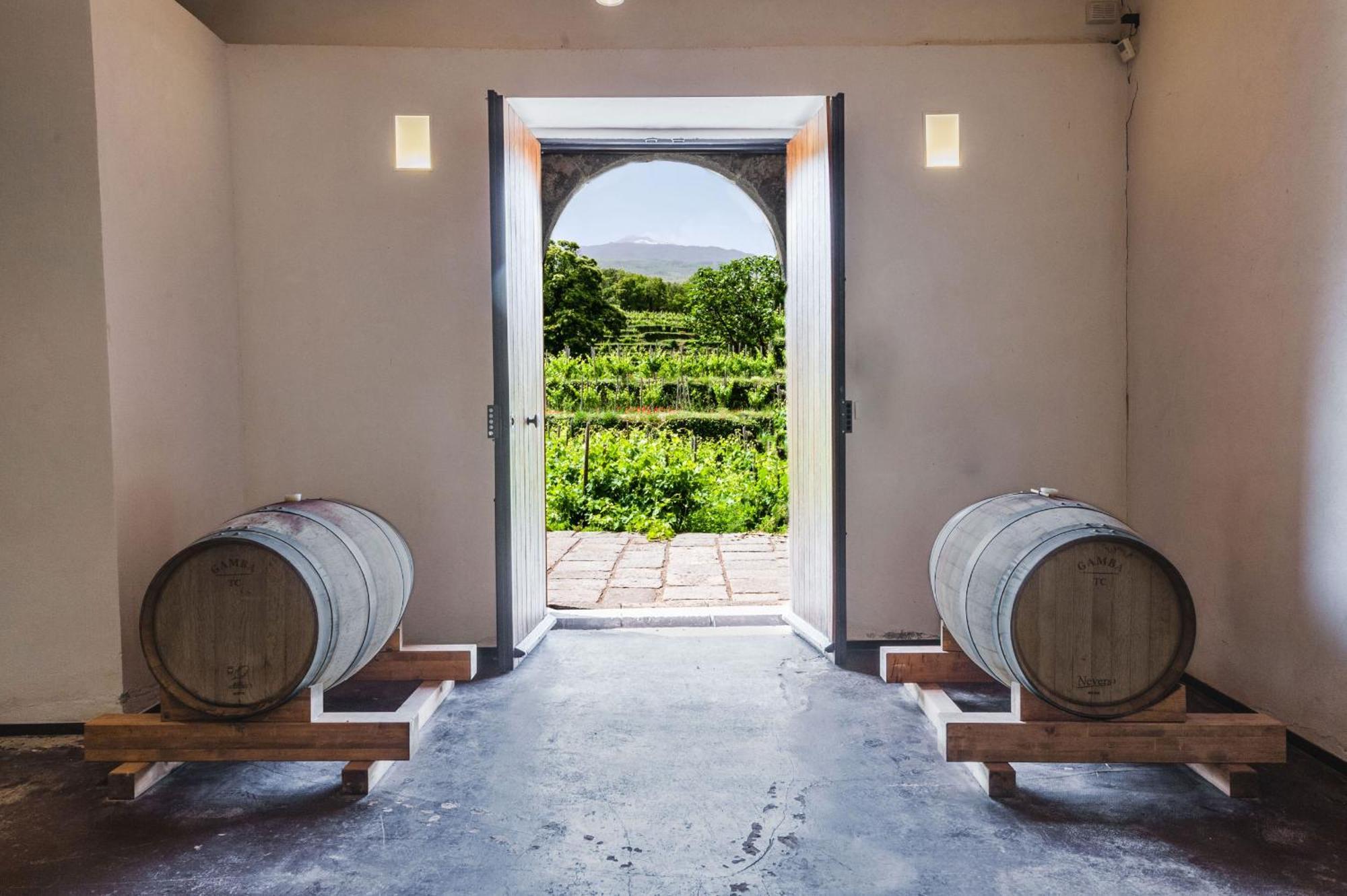 Terrazze Dell'Etna - Country Rooms And Apartments 兰达佐 外观 照片
