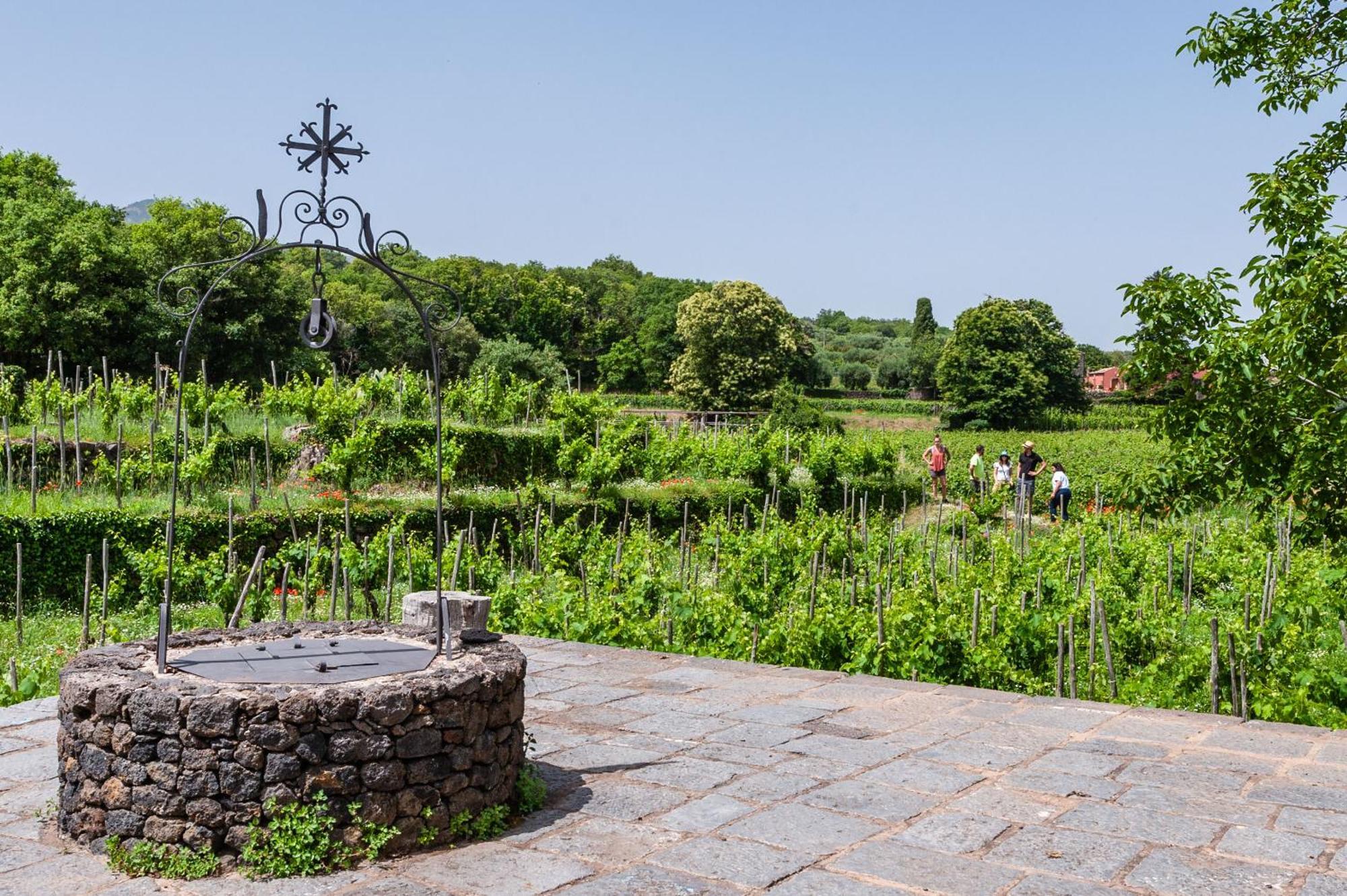 Terrazze Dell'Etna - Country Rooms And Apartments 兰达佐 外观 照片