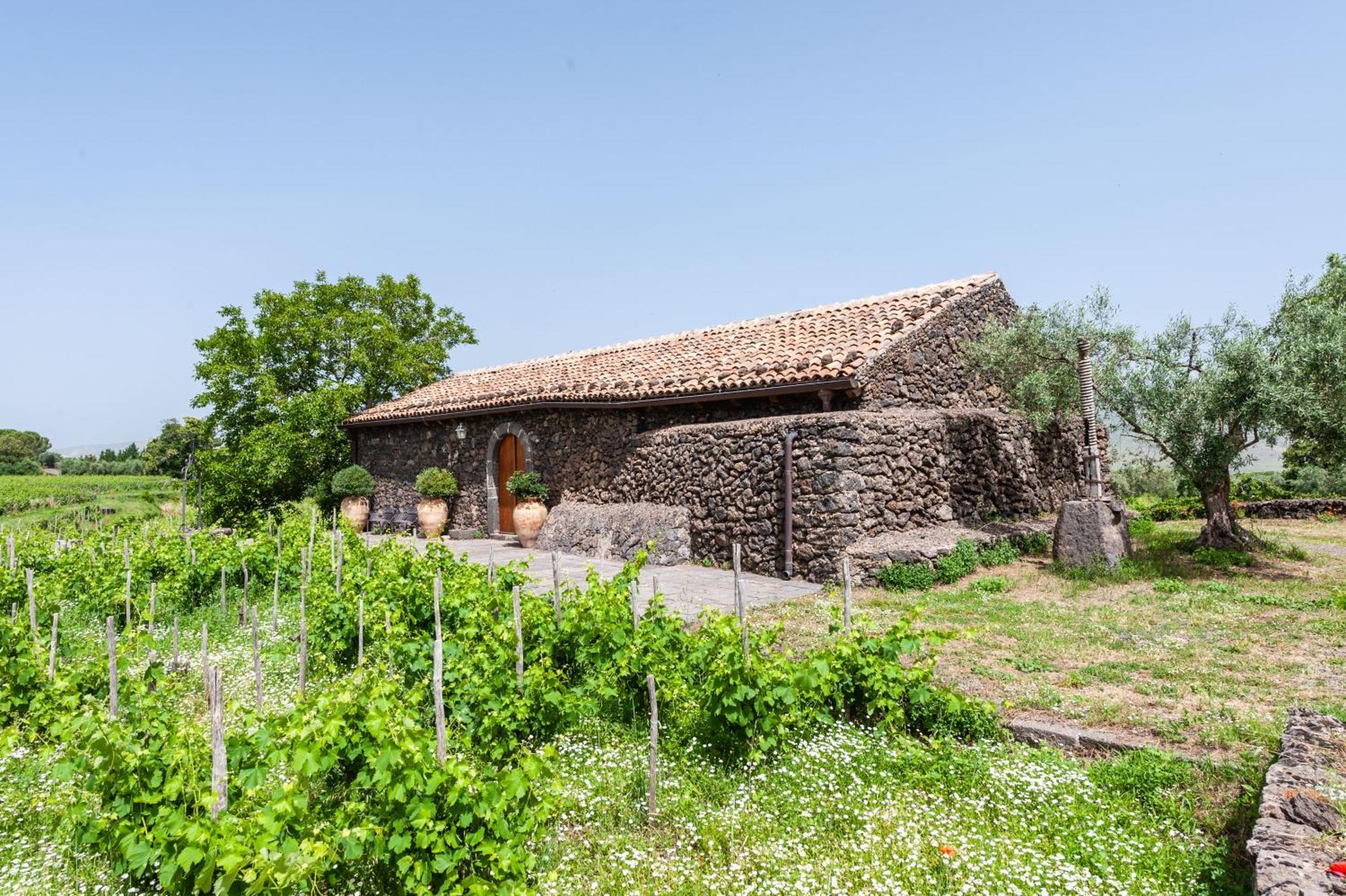 Terrazze Dell'Etna - Country Rooms And Apartments 兰达佐 外观 照片