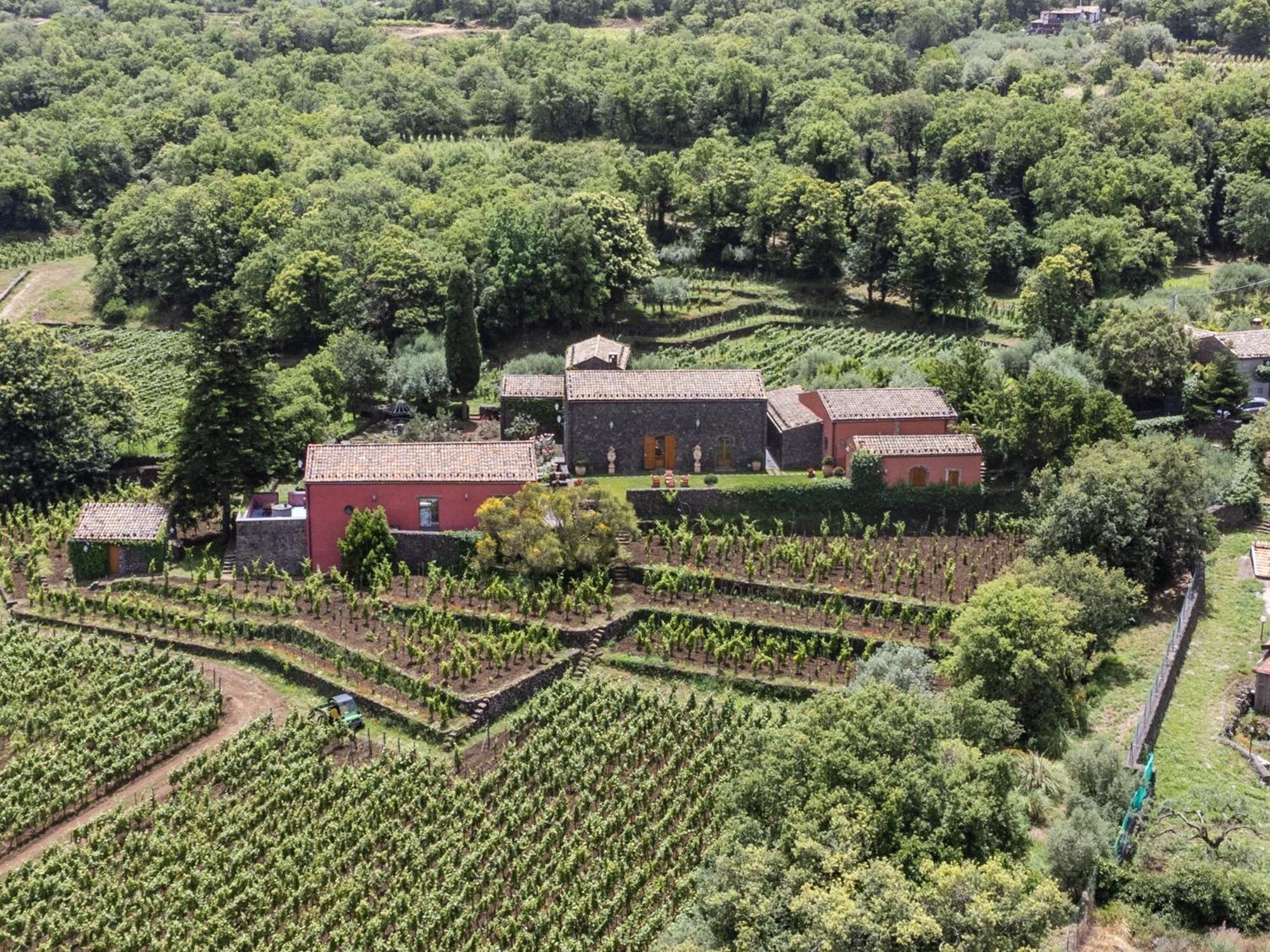 Terrazze Dell'Etna - Country Rooms And Apartments 兰达佐 外观 照片